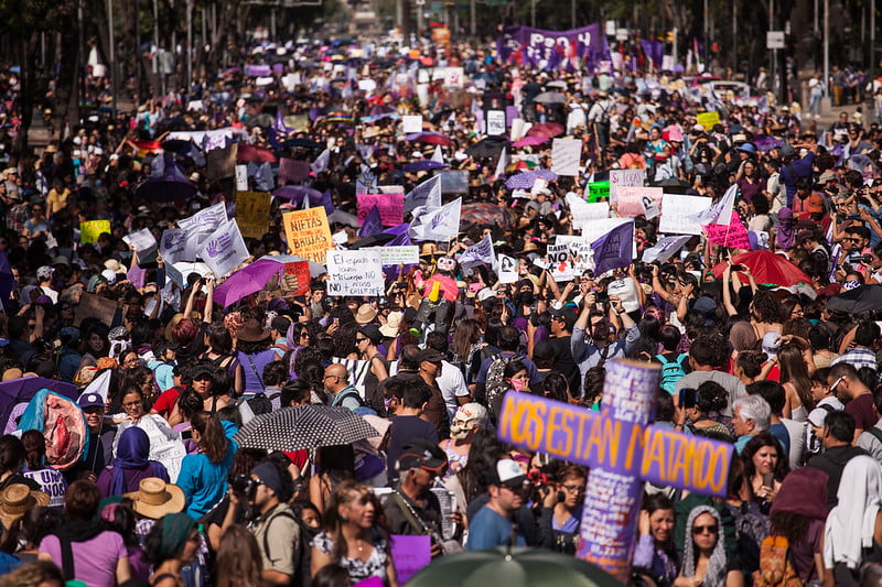#24A - La primavera se pintó de violeta en todo el país