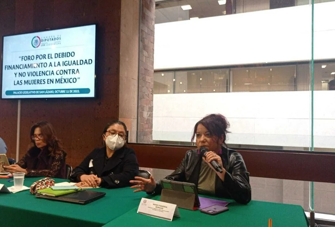 Wendy Figueroa Morales, directora de la Red Nacional de Refugios, durante el parlamento abierto sobre el PEFE 2023 celebrado este miércoles 19 de octubre de 2023. Fotografía: Twitter @AliadasLa