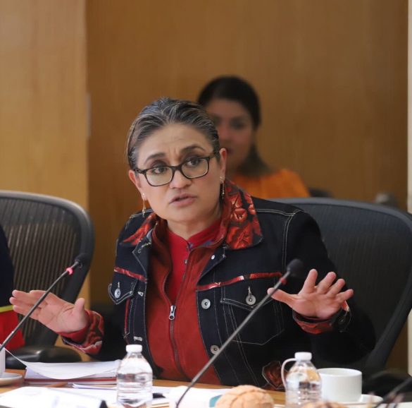 Diputada Aleida Alavez Ruiz, de Morena. Fotografía: Twitter @ALEIDAALAVEZ