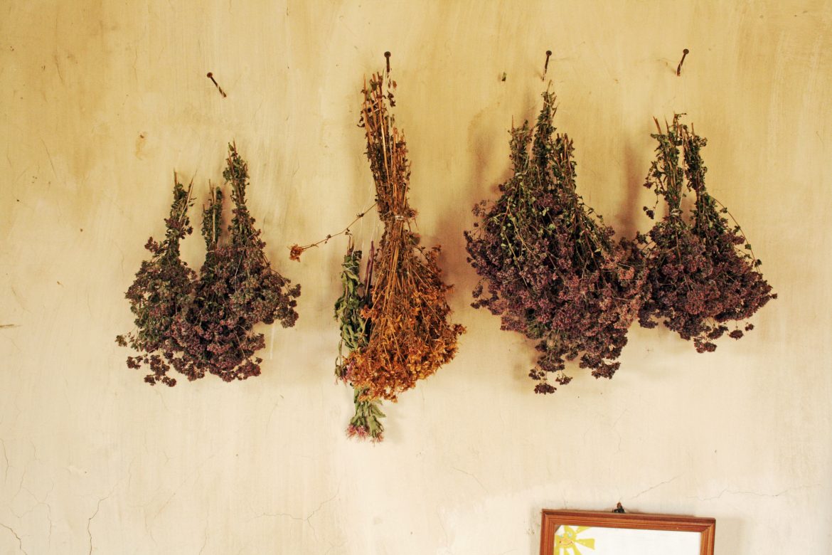 Fotografía: Wikimedia Commons