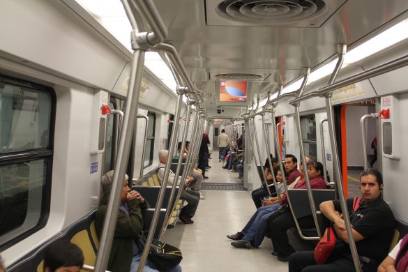 Fotografía: Jeffrey Beall / Wikimedia Commons