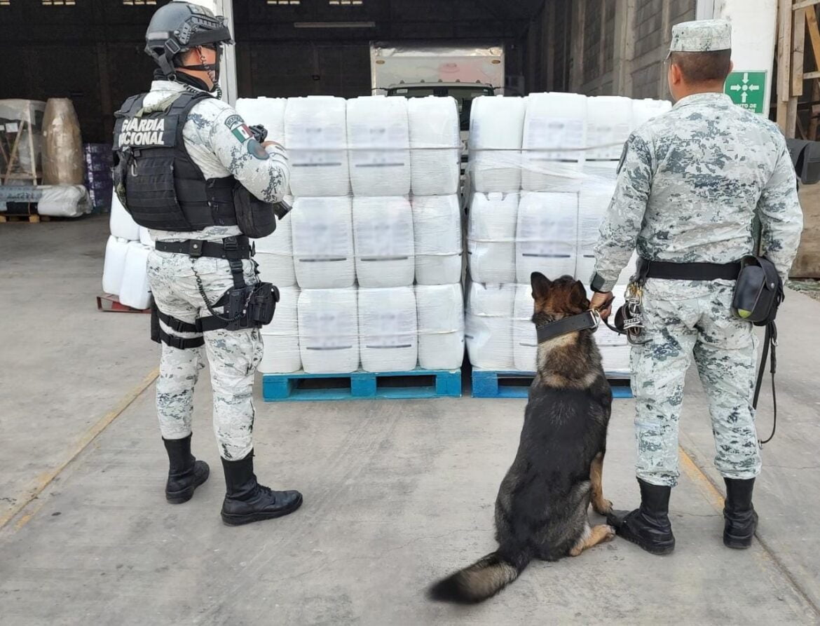 Fotografía: Twitter @GN_MEXICO_