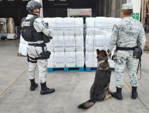 Fotografía: Twitter @GN_MEXICO_