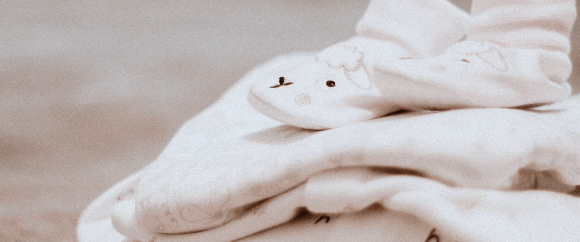 Fotografía: Pexels
