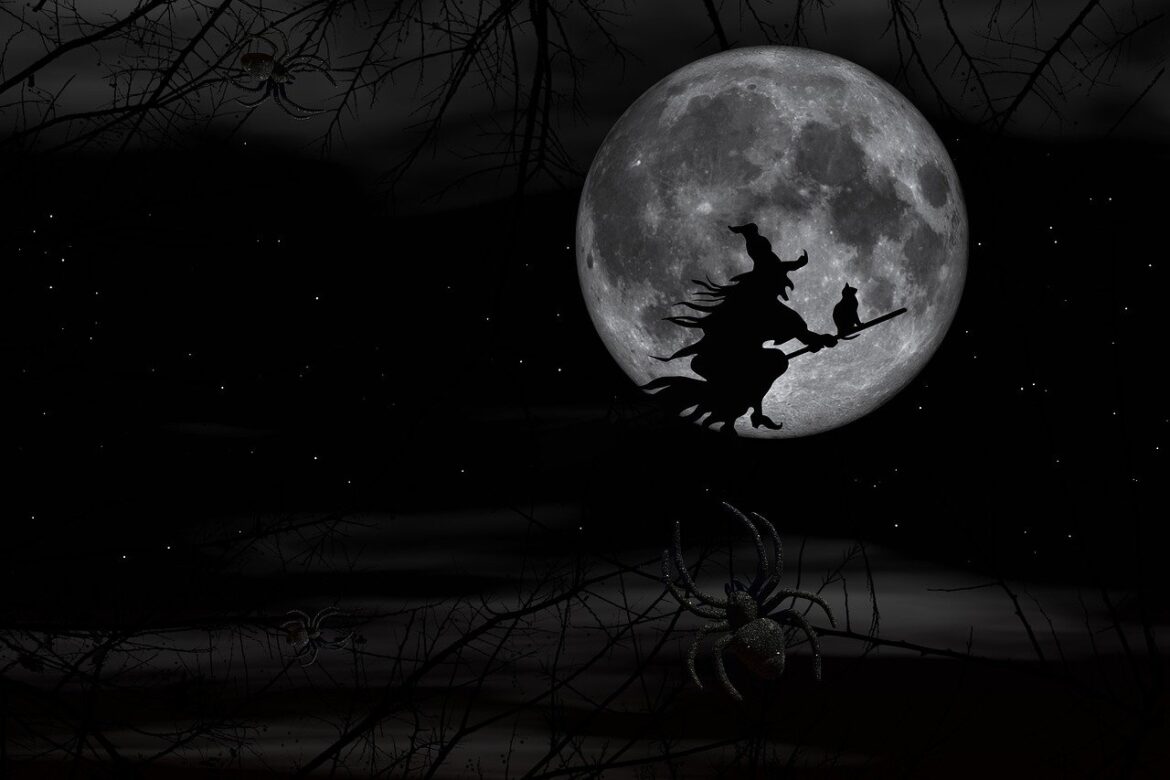 Imagen: Susan Cipriano, Pixabay