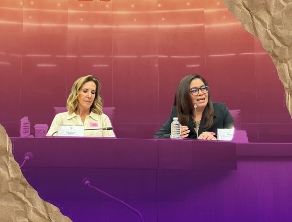 COMO AFECTA A LAS MUJERES LA GUARDIA NACIONAL EN LA SEDENA PRESENTACION DE INFORME CAUSA COMUN