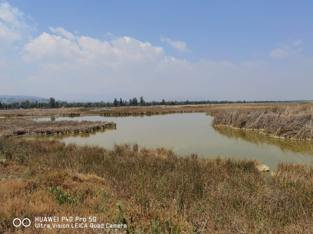 Humedales Xochimilco