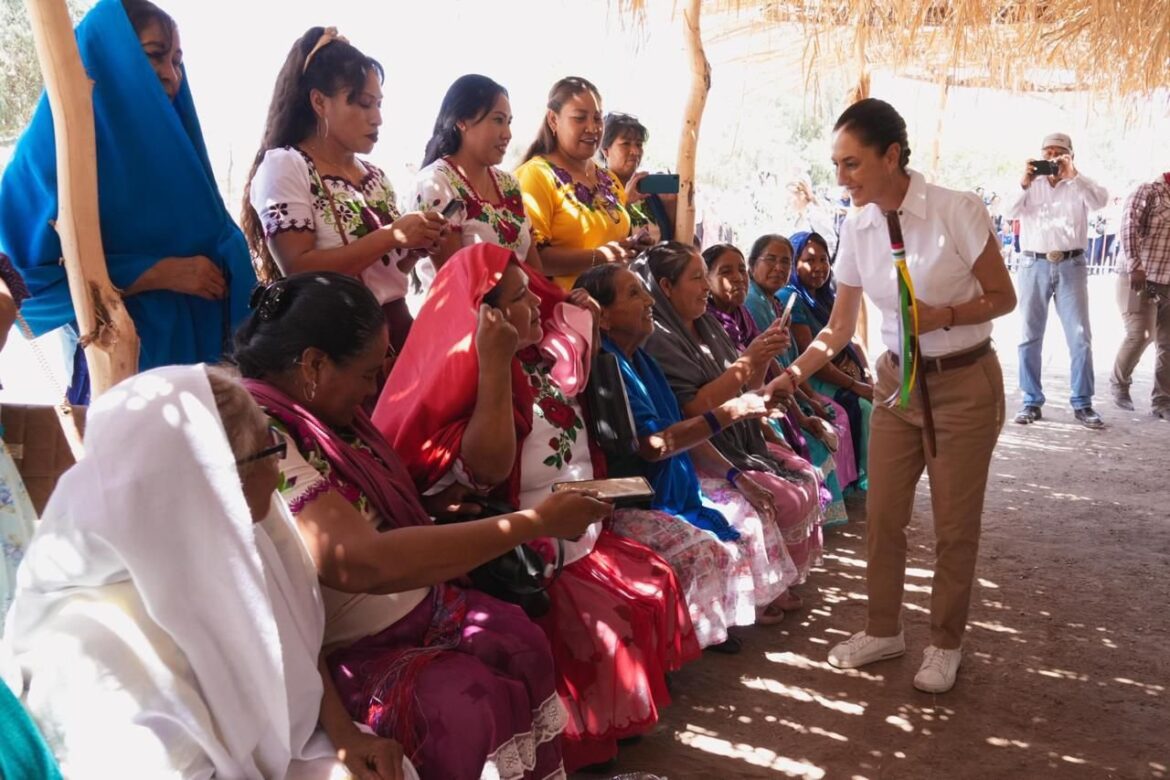 Programas sociales para mujeres de 60 a 64 va para atrás
