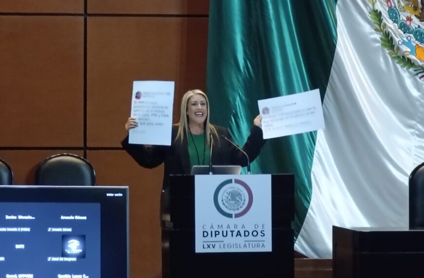 170 organizaciones se posicionan contra desaparición de órganos autónomos: a unas horas de la discusión