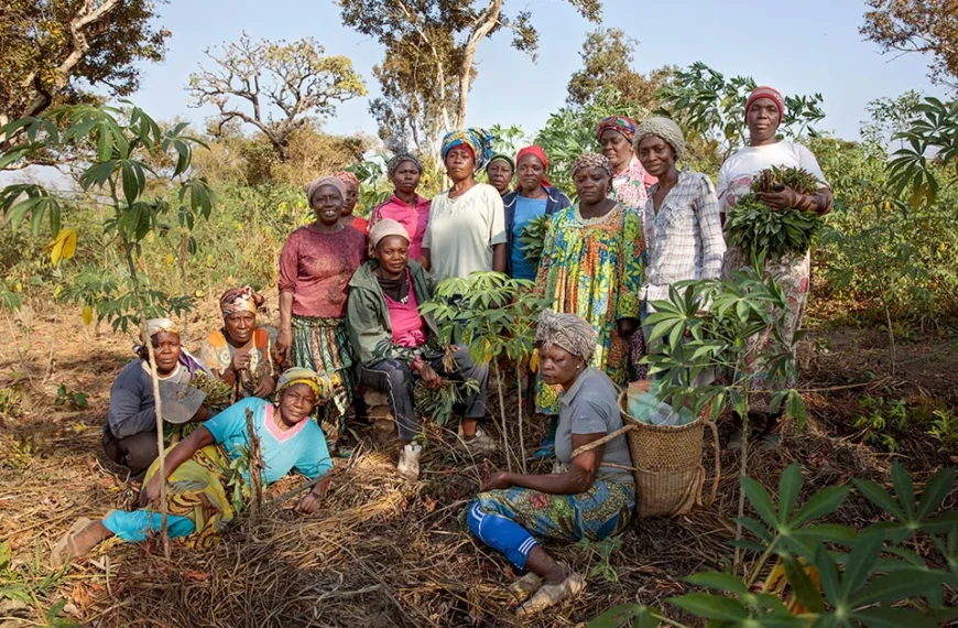 Hoy, un día para reconocer a mujeres rurales por su papel en la nutrición y conservación de la biodiversidad