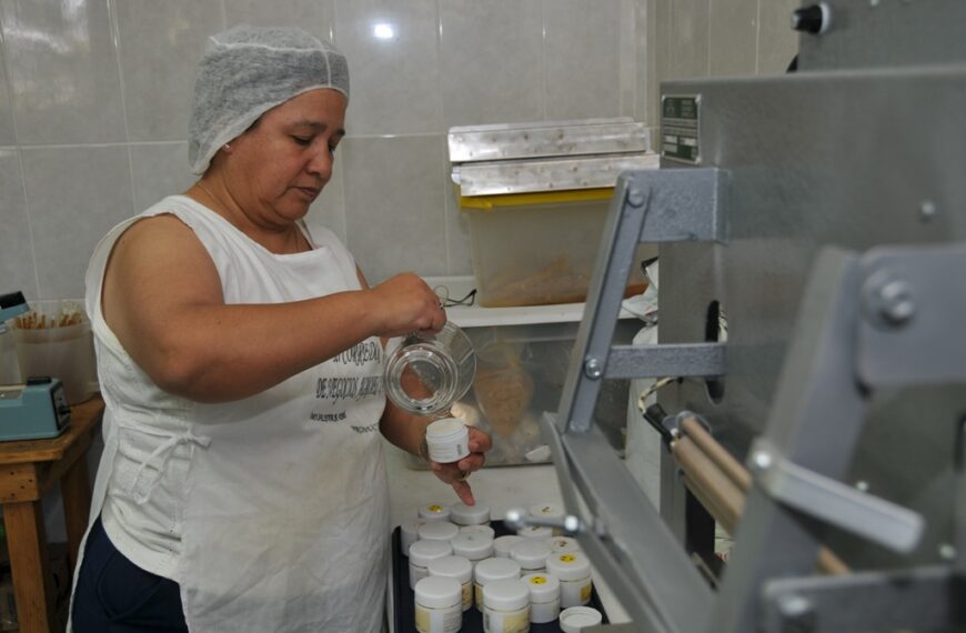 FMI alerta brecha de género en empleos verdes. Urge cambio de paradigma para incorporar mujeres en ciencias