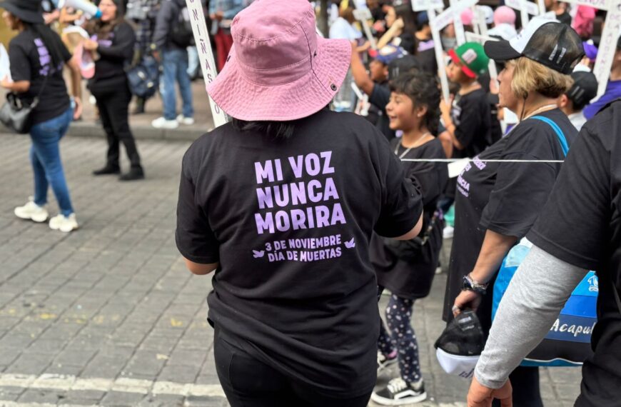 Hoy extinguieron órganos autónomos. En duda transparencia, herramienta básica en agenda feminista