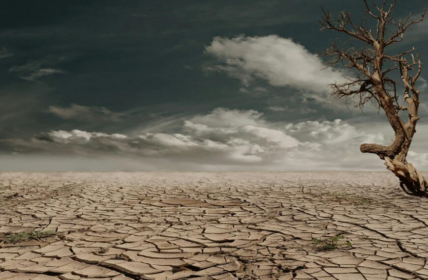 Reflexiones post-COP 29 sobre la movilidad climática