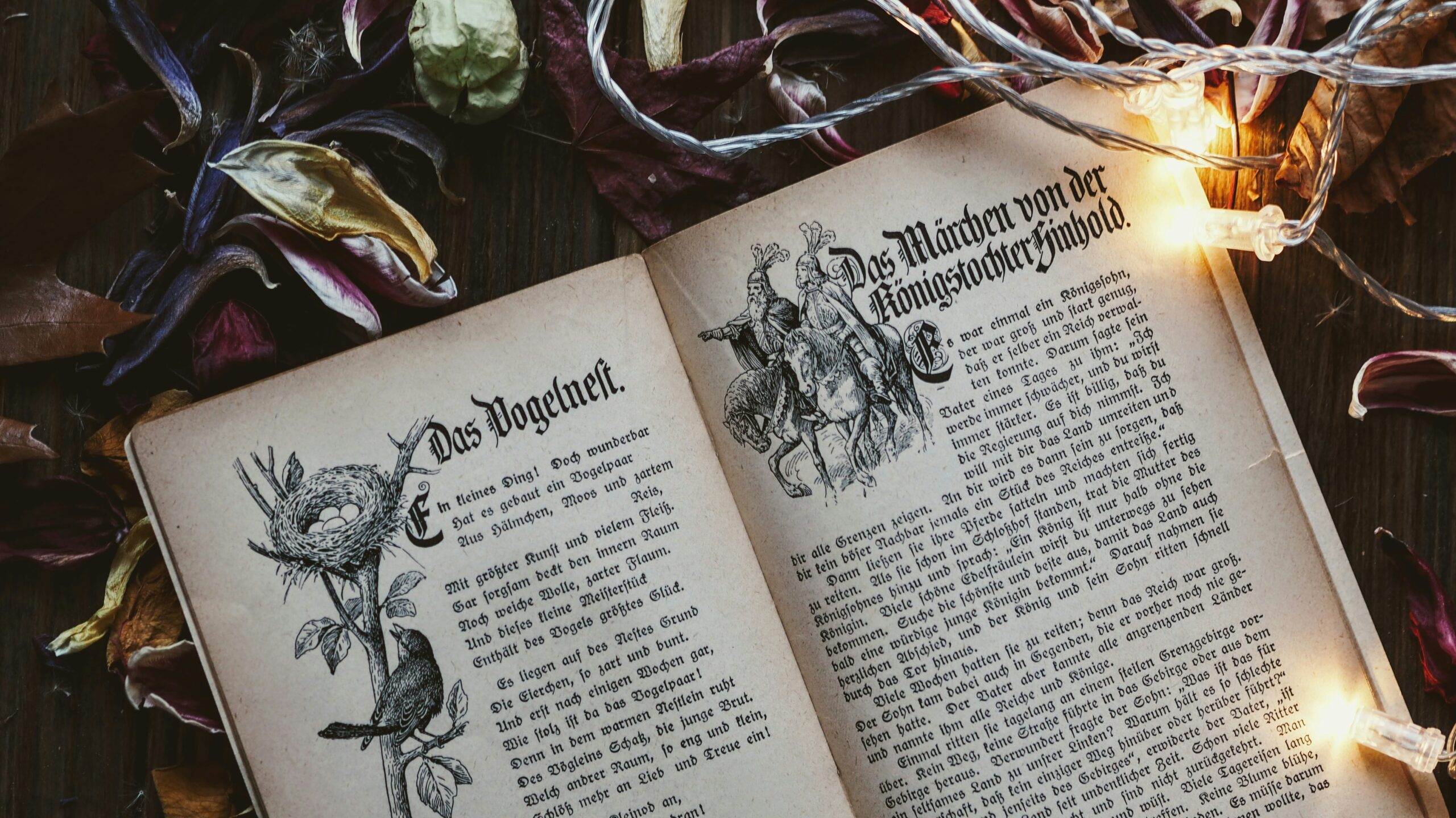 «El camino de la heroína» para desmontar estereotipos de la princesa o bruja de los cuentos…