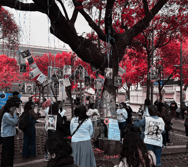 Montan el Árbol de la Memoria y Velada por el Día de las Madres. Nada para celebrar