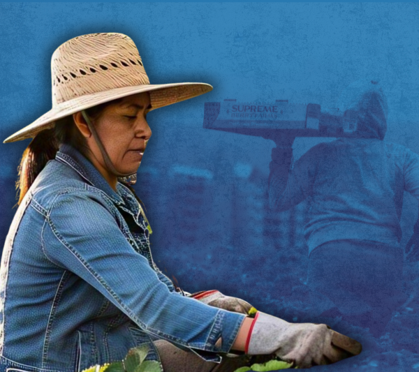 Maternar dos niñas como mujer jornalera, la historia de Ana