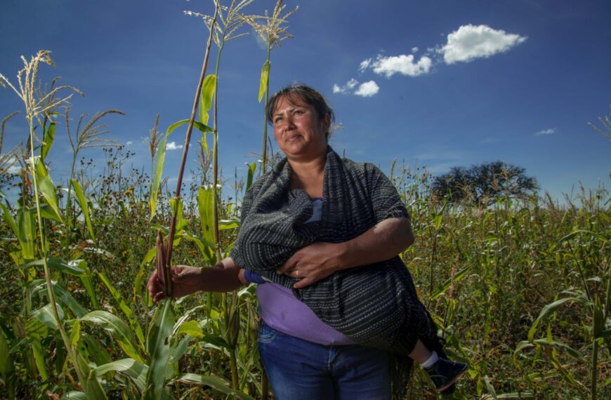 Aumenta a 35% participación de mujeres en sistemas agroalimentarios, persisten desigualdades: FAO