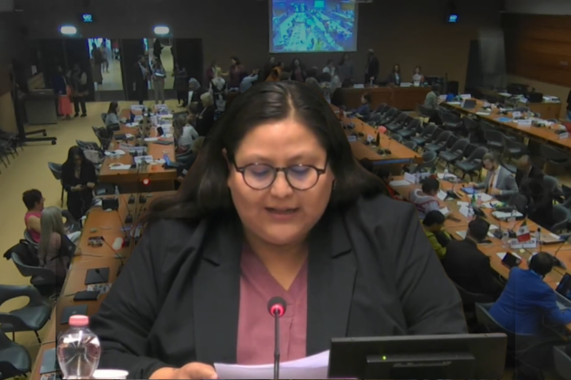 «Última hora: México reprueba primera audiencia ante CEDAW por fallas en justicia y autonomía institucional