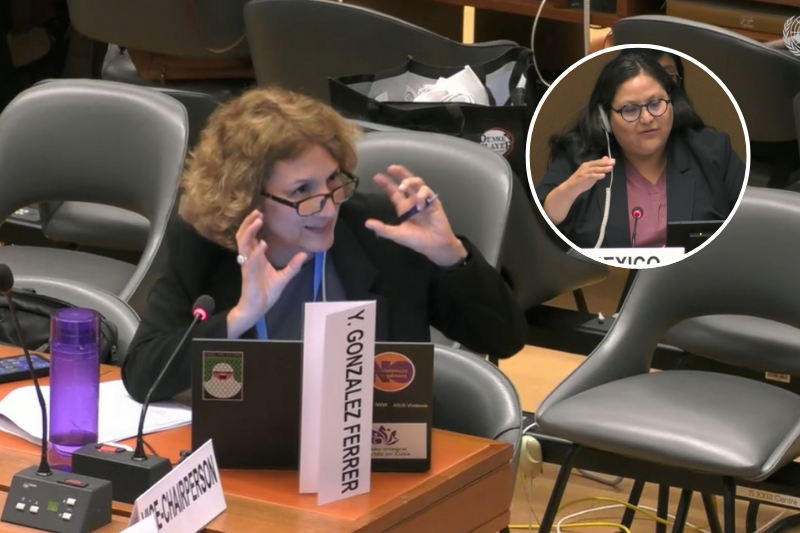 CEDAW pone en jaque a Secretaría de las Mujeres. Nulos resultados presentados, la constante en la comparecencia