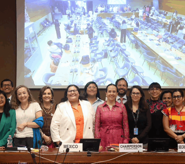 Mitos y realidades del Estado mexicano frente a CEDAW