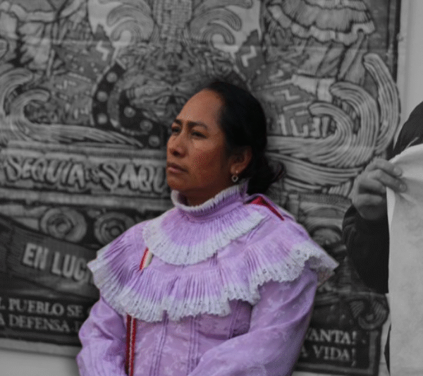 «Las mujeres de Santiago Mexquititlán en la mira» Defensora Estela Hernández sin garantías de protección