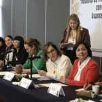 Organizaciones civiles llevan propuestas al Senado para cumplir recomendaciones de CEDAW