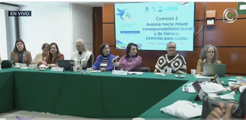 El trabajo de cuidados sostiene la vida y debe ser asumido como una corresponsabilidad: defensoras