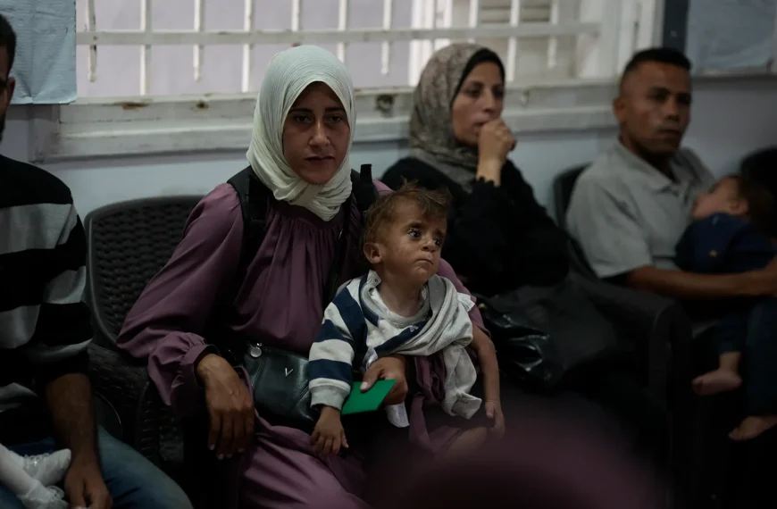 Al menos 17 mil mujeres embarazadas o lactantes enfrentan desnutrición aguda en Gaza