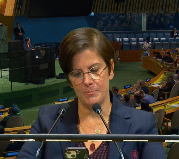 Relatora pide ante Naciones Unidas abandonar ideología de género y recuperar agenda de mujeres
