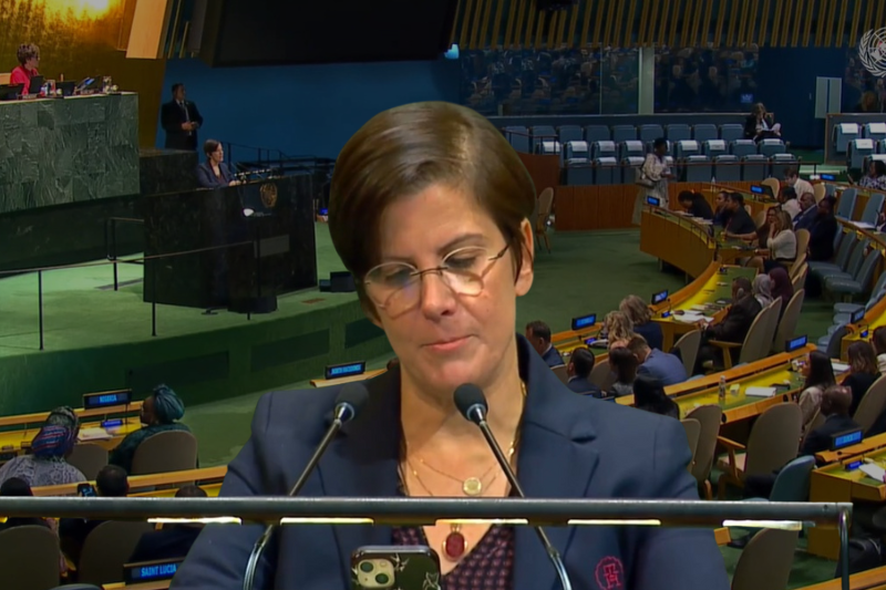 Relatora pide ante Naciones Unidas abandonar ideología de género y recuperar agenda de mujeres