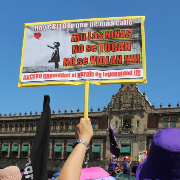 Desactualizado por 10 años el censo de infancias en Casas de Asistencia Social: REDIM