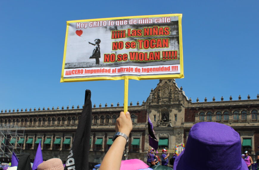 Desactualizado por 10 años el censo de infancias en Casas de Asistencia Social: REDIM