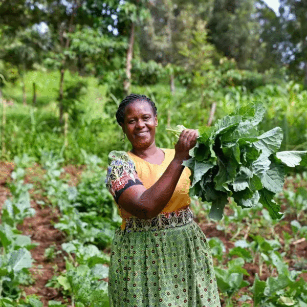 Necesario adoptar Plan de Acción de Género como estrategia climática: ONU Mujeres #COP30