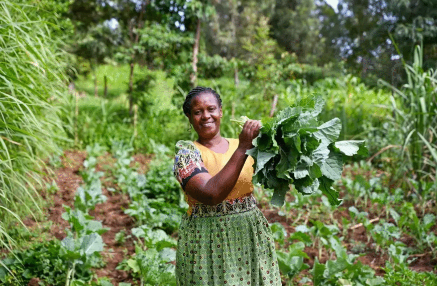 Necesario adoptar Plan de Acción de Género como estrategia climática: ONU Mujeres #COP30