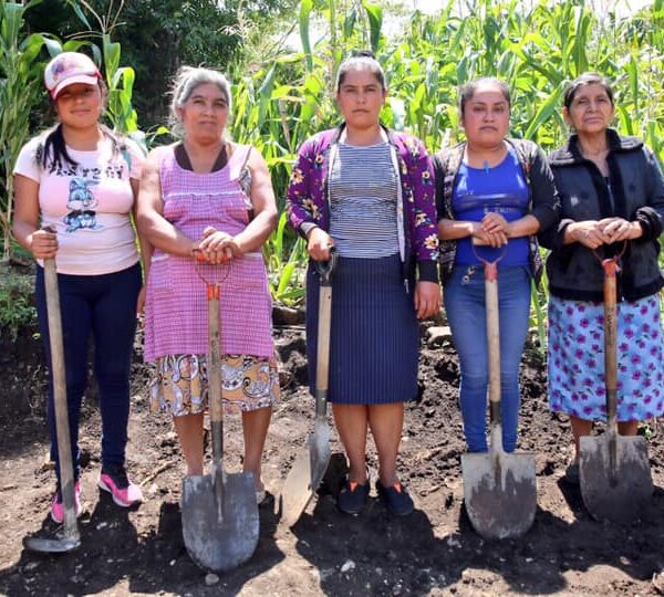 Sembrando Vidas mantiene brechas de género entre mujeres ejidatarias, alerta organización