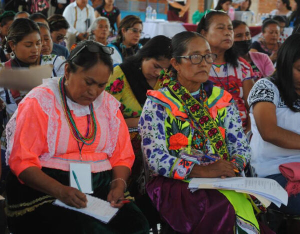 Oaxaca, la entidad más peligrosa para defensoras, con tres feminicidios registrados: RNDDHM