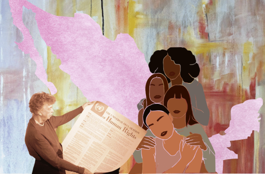 A 77 años de Declaración Universal de Derechos Humanos, México en deuda con mujeres: OCNF