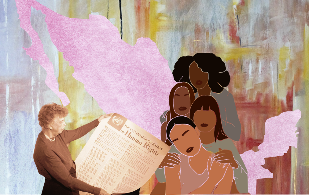 A 77 años de Declaración Universal de Derechos Humanos, México en deuda con mujeres: OCNF