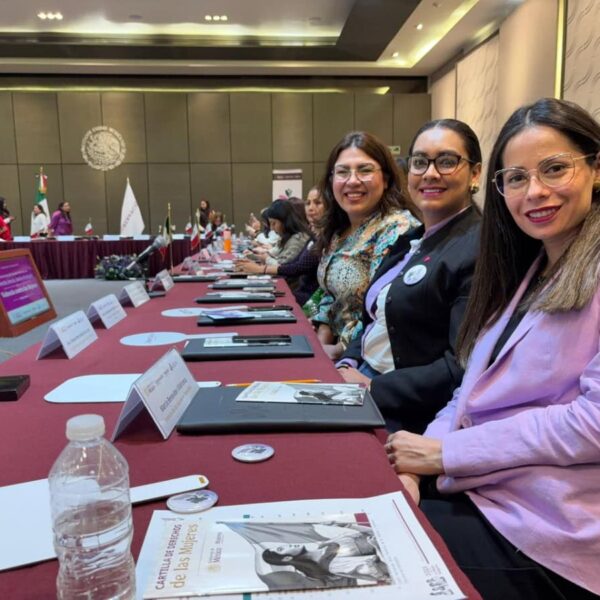 IM Tamaulipas participa en construcción de Programas contra violencias a mujeres 2025-2030