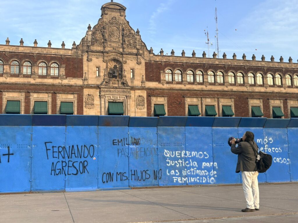 Urge retomar trabajos para Alertas de Violencia de Género, único mecanismo contra feminicidio: OCNF