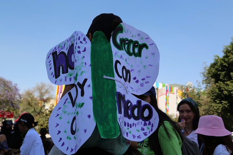 Solo 8 entidades de México adecuaron su ley para sancionar el matrimonio infantil