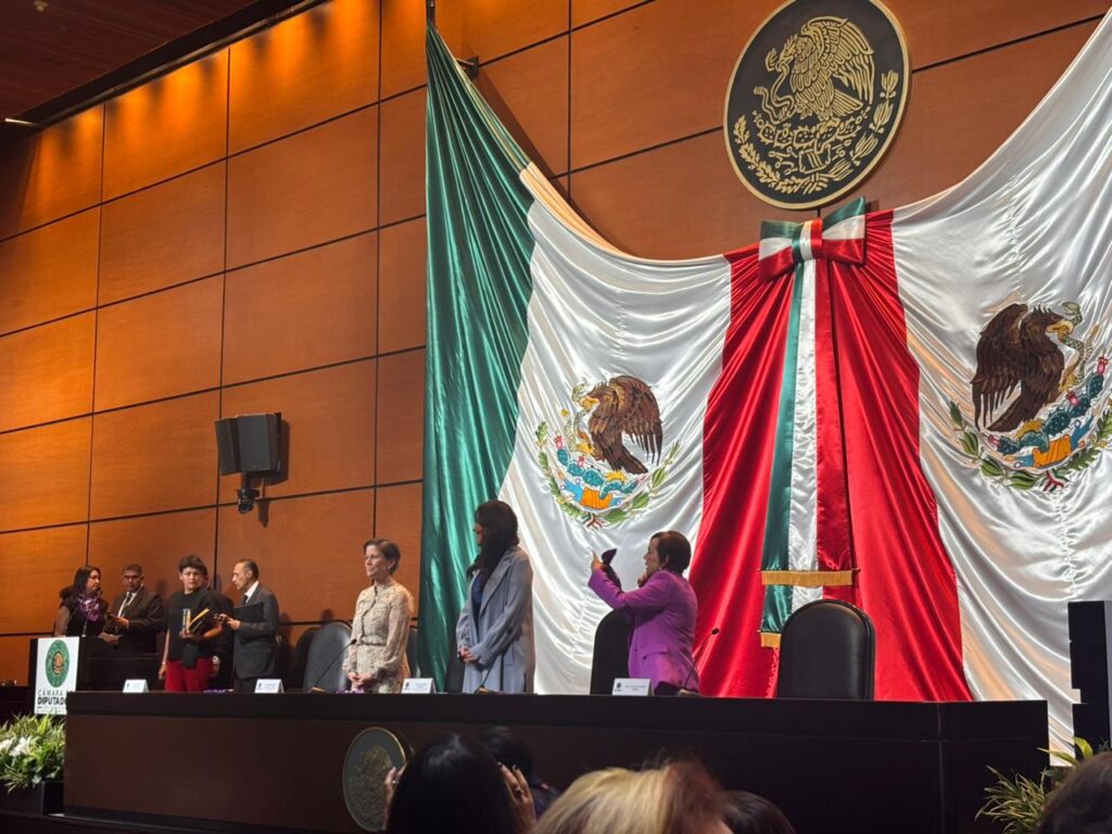 Visitas a México de expertas ONU contra la violencia hacia las mujeres. Reem Alsalem en 2026