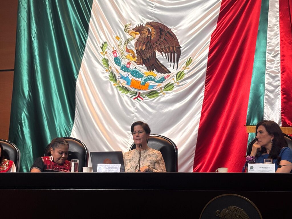 Violencia contra mujeres en niveles alarmantes, México incluido: Reem Alsalem