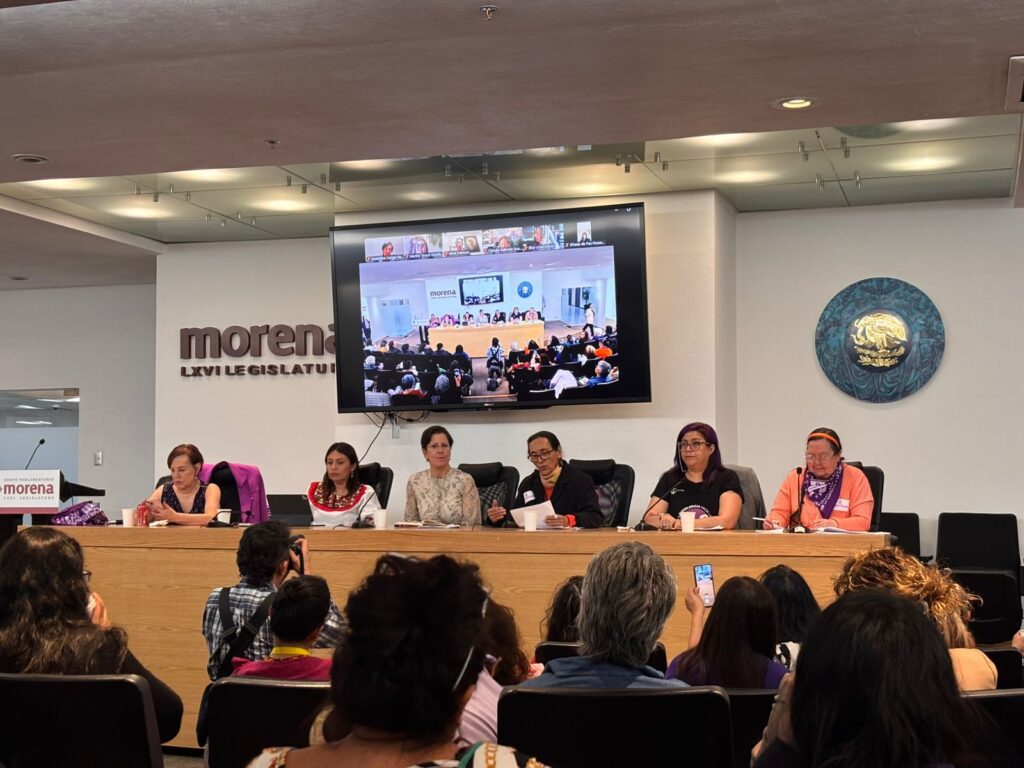 Defensoras entregan informes sobre violencia contra mujeres en México a Relatora Reem Alsalem
