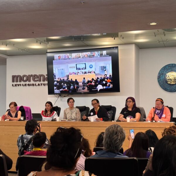 Defensoras entregan informes sobre violencia contra mujeres en México a Relatora Reem Alsalem