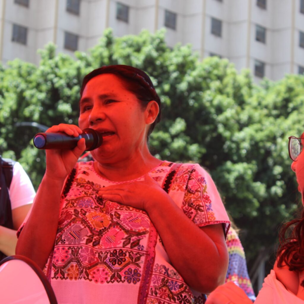 Mujer, indígena y periodista. Marcela de Jesús frente a la libertad de expresión