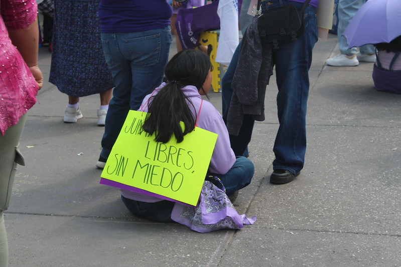 Buscan crear registro de agresores sexuales de niñez. Dependería de sentencias firmes