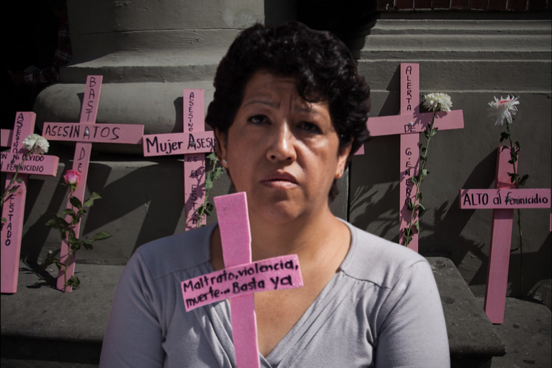 México llega al 8M 2026 con retrocesos para contrarrestar violencia feminicida: OCNF