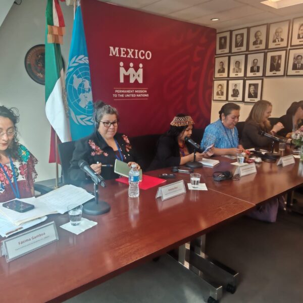 Mujeres indígenas rechazan que el acceso a la justicia se reduzca a contar con traductores. CSW70