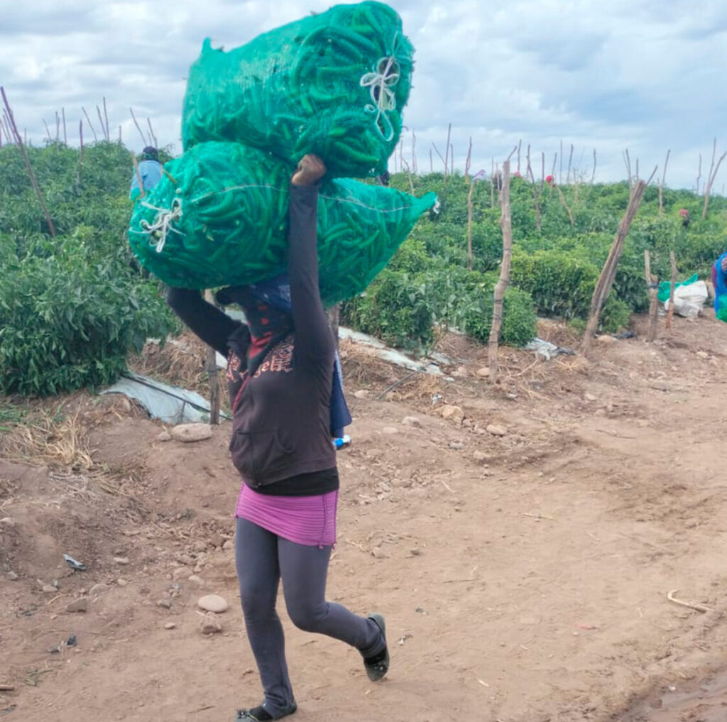 Foto: Tlachinollan Centro de Derechos Humanos de la Montaña